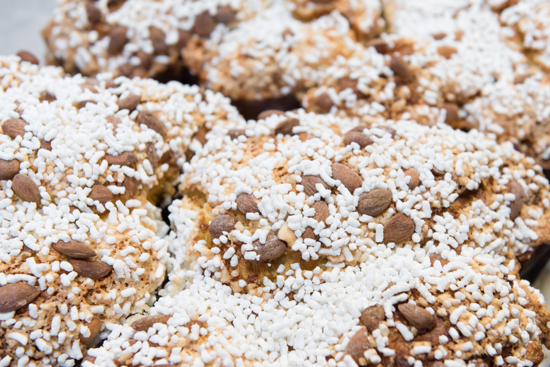 Colomba di Pasqua Artigianale - Roma - De Santis Santa Croce (2)